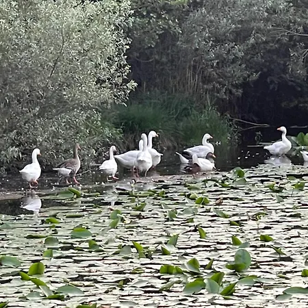 Laghi Di Di Licinia E Mario דירה
